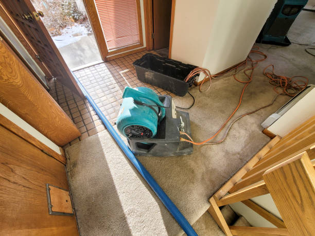 Best Water damage restoration process  in Oak Ridge North, TX